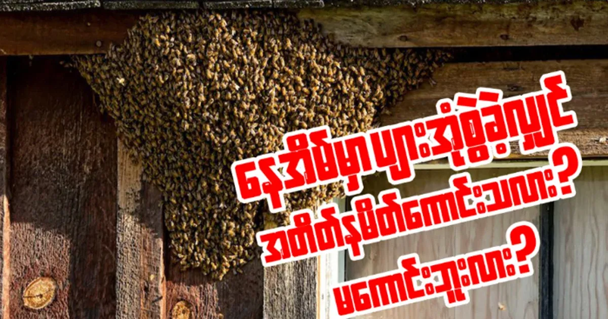 Is it a good omen if you have a bee hive at home? Is it bad?