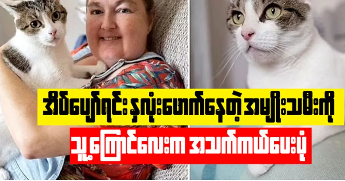 How his cat saved the life of a heartbroken woman while she slept