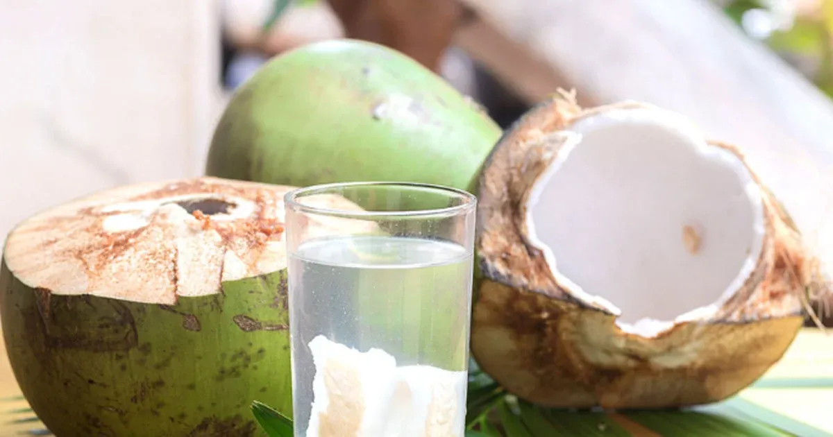People who should not drink the health benefits of natural green coconut juice