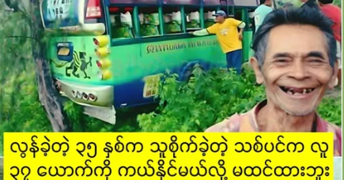 The tree he planted 35 years ago has now saved the lives of 37 people