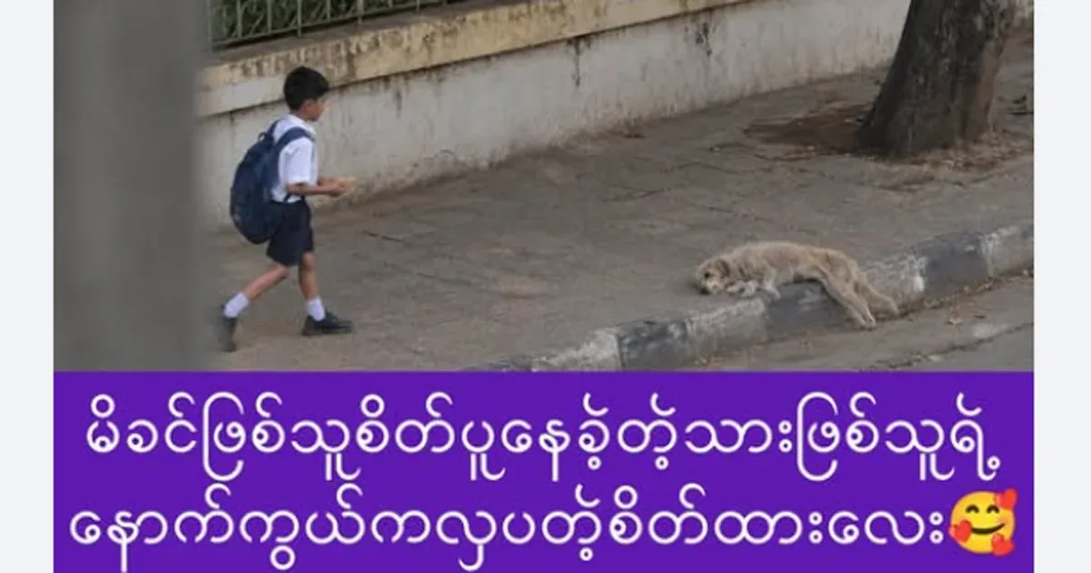 The attitude of the child who shared his hunger with the helpless creature
