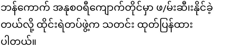 Mai Mon Htwe (Txxx) arrests a defendant who is on the loose