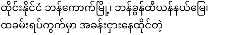Mai Mon Htwe (Txxx) arrests a defendant who is on the loose