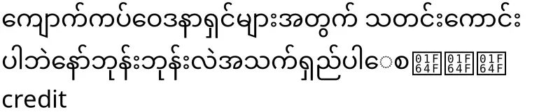 "Karunapala Kidney Guide" led by Boorn Boorn Hlataw (U Khemathiri).