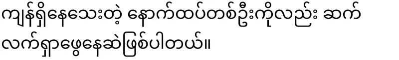 frog Those who lost their lives due to landslides in Nam Mago