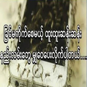 We share strange ways to prevent mosquitoes from biting