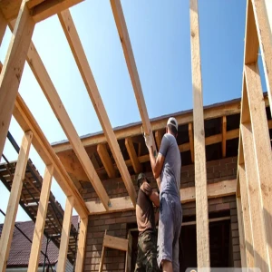home About the 8 types of wood that should not be used and how to choose the date for building a school