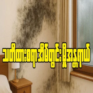Beware of indoor mold hazards