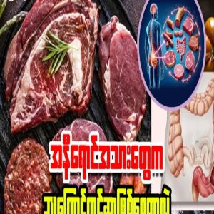 Why does red meat (goat meat, beef) cause cancer?