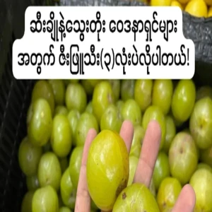 3 gooseberries for people with diabetes and high blood pressure