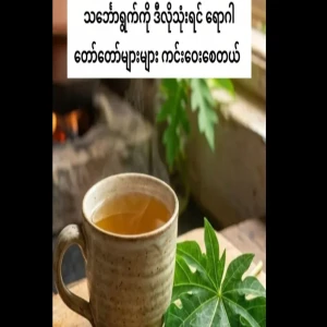 The gift of health from the leaves