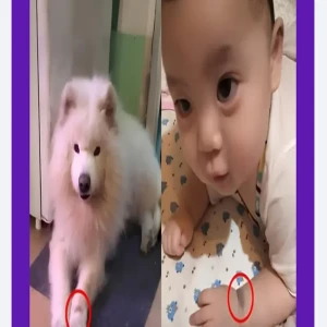 A mystical picture of the connection between the supernatural and the difficult to explain in life